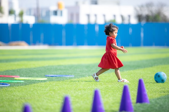 但这并未能 但这并未能