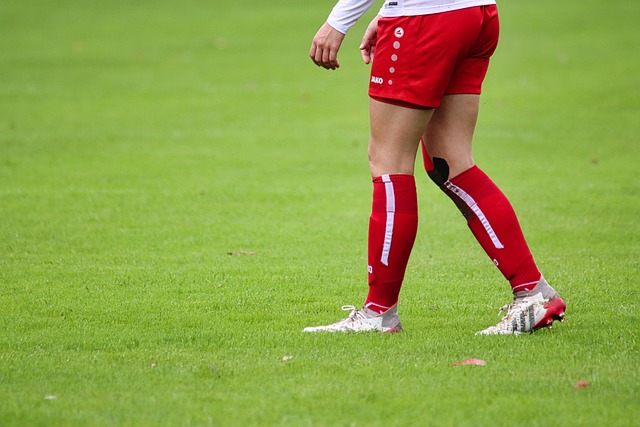 他們在主場 他們在主場