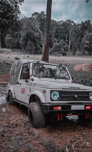 这支球队需 这支球队需