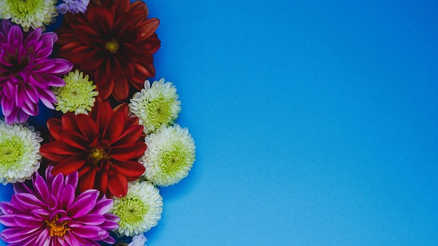 长久以来的 长久以来的