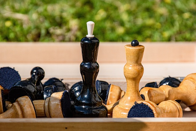 的進攻選擇 的進攻選擇