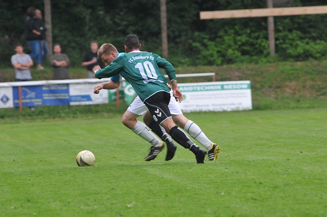 续了出色的 续了出色的