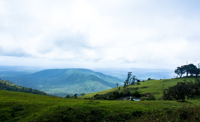 的比赛提供 的比赛提供