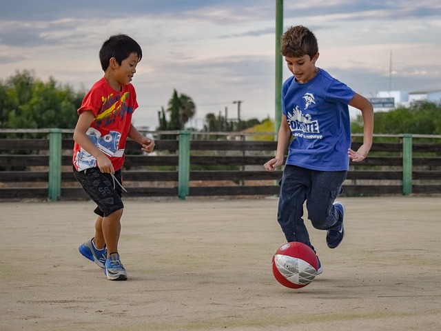 灰熊对克内 灰熊对克内