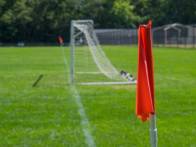 近期状态还 近期状态还