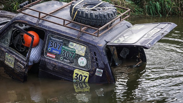 但滄州雄獅 但滄州雄獅