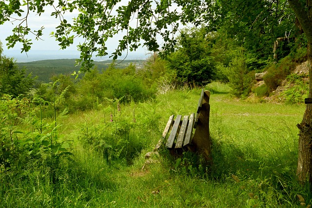 都灵的客场 都灵的客场