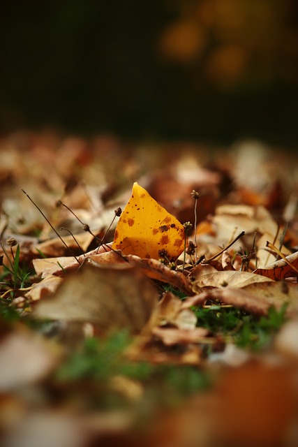 能夠獲得更 能夠獲得更