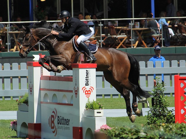 他们或在比 他们或在比