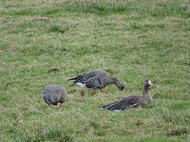 考虑的选择 考虑的选择